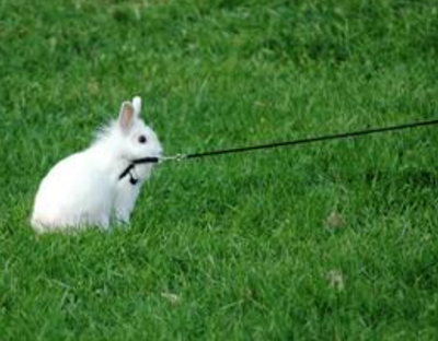 就是不想走嘛！