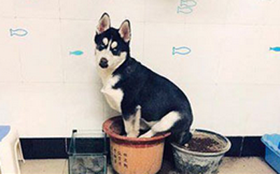 我的地盘我做主