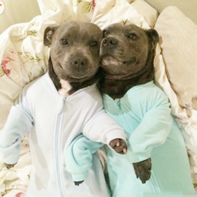 请不要拆散我....