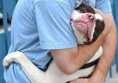 还是主人的怀抱最舒服！