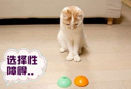 哪个啊，选不出来