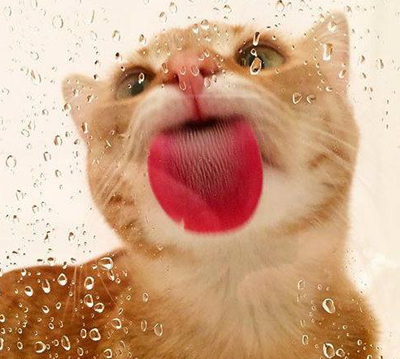 湿湿热热的舌吻一枚，哇咔咔