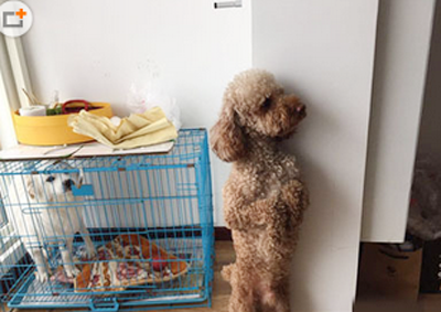 哼，你让我站十分钟，我给你站半小时！