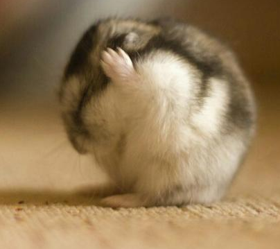 不要听，不要听