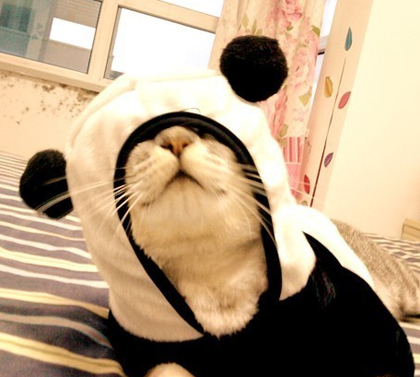 穿上睡衣萌萌哒