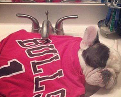 你倒是睡的香啊