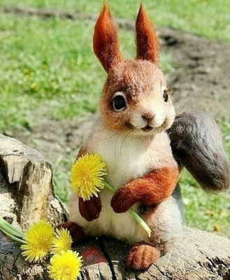 路边的野花不要乱摘