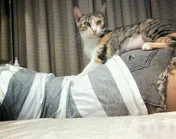 感觉自己禽兽不如