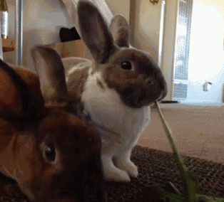 一边去，别跟我抢