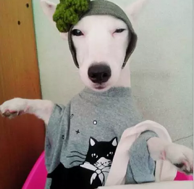 爱抛媚眼的美女