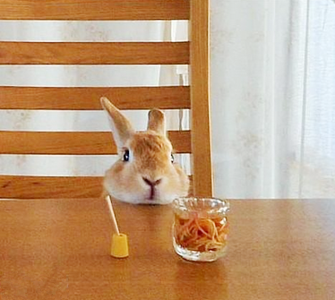 等开饭中饿死我了