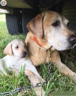 不管怎样，我一定对你不离不弃！