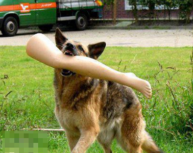 单身狗这腿我能玩一年