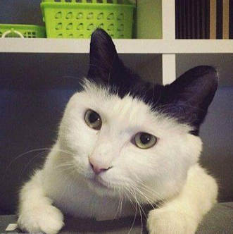 看我的帽子好看不