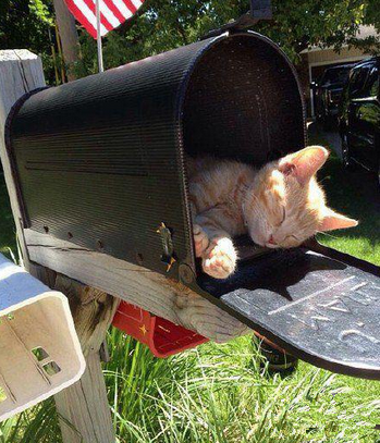 您有一封新邮件请查收