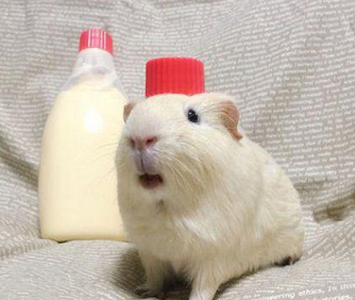 麻麻看我cos的像不像