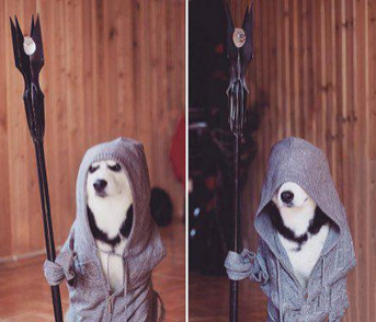 要从此路过留下买路财