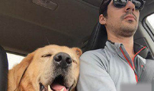 下午时间段的我