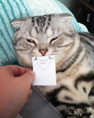 主人，你又胡闹了