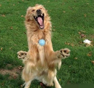 往哪扔呢？疼死我了！