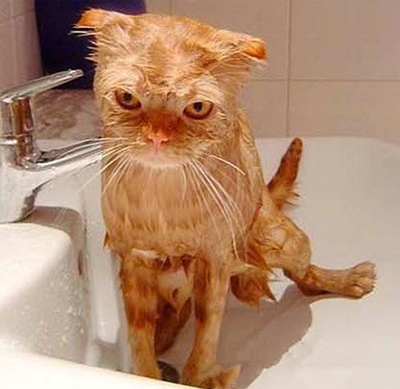 洗个澡你至于这样么？