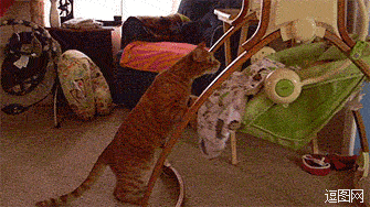 婴儿床一定要轻轻摇