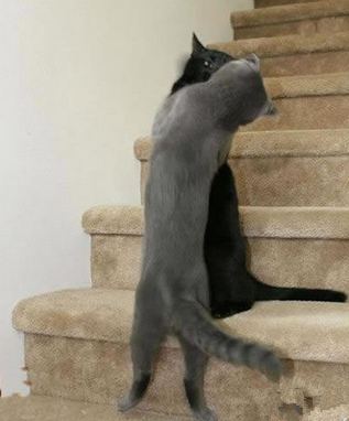 亲爱哒，你来了