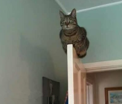 难道上面空气比较好吗？