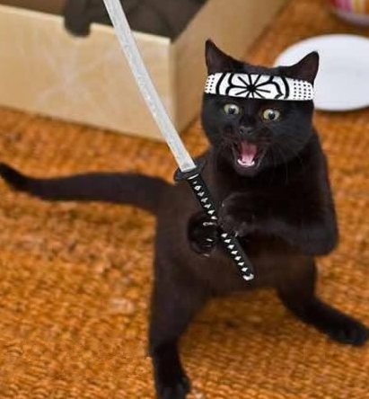 哇唔！劳资是武士