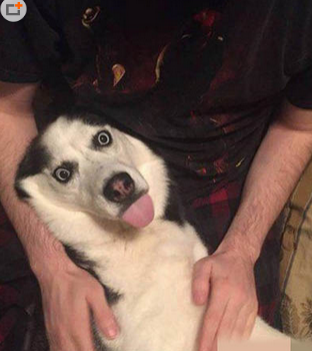 主银，你死心吧！我不会从了你的