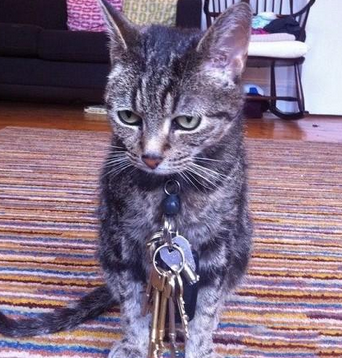 还在担心钥匙找不到吗