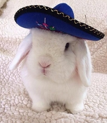 我走的是民族风