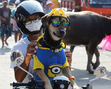 主银，等着，我带你兜风去~~