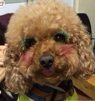 妈妈给我化得妆肿么样？我也是小公举！