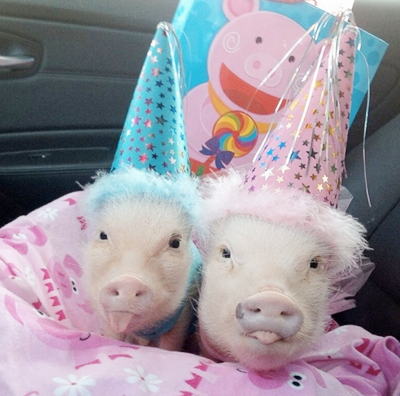 其实，我们是两姐妹，你信吗？