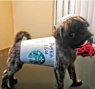 废物再利用，我喜欢妈妈给的做的新潮装