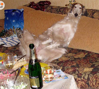 喝的有点高，容我休息一下