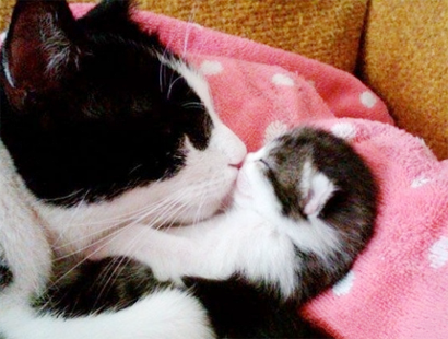 妈妈我要亲亲才睡觉