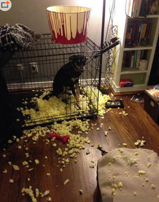 真的不是我先动的手……