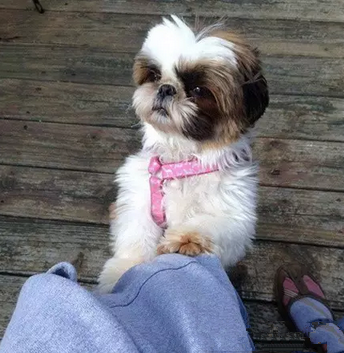 那是……女神！！！