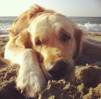 别来烦我，失恋的时候我一个人想静一静……