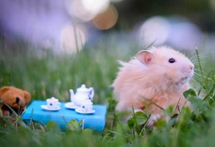 生活过的好惬意啊