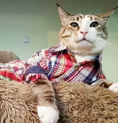 格子衬衫才能彰显我的气质