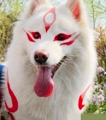 看二汪好像很高兴的样子...