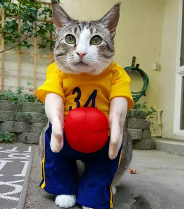 篮球少年的一天