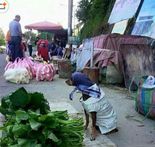 都是被生活所迫啊