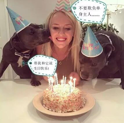 有些狗，成天就知道秀恩爱！