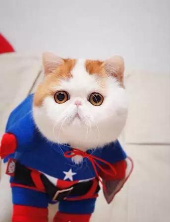 冬天来了，让红小胖教大家一起做保暖吧