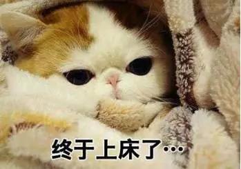 冬天来了，让红小胖教大家一起做保暖吧