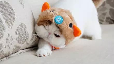 冬天来了，让红小胖教大家一起做保暖吧